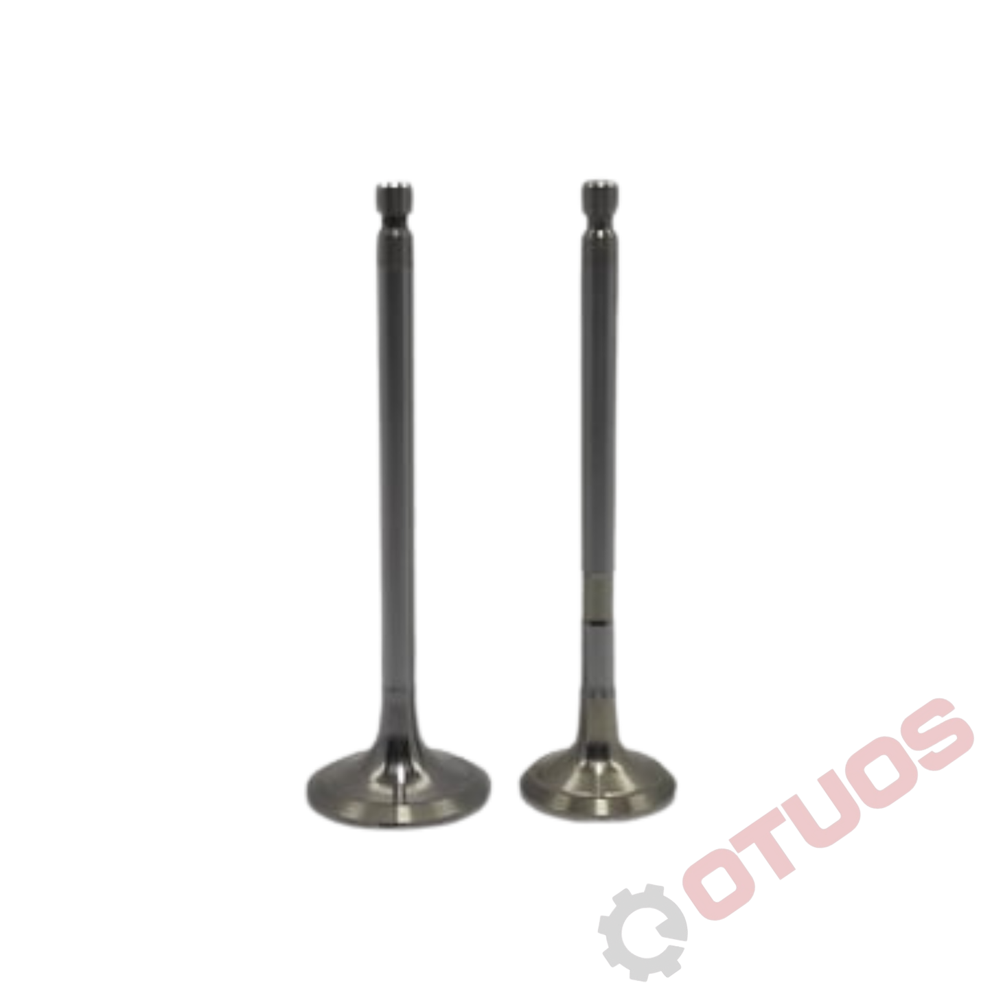 Jogo de Válvulas (Adm. + Escape) Yanmar — 4TNV106