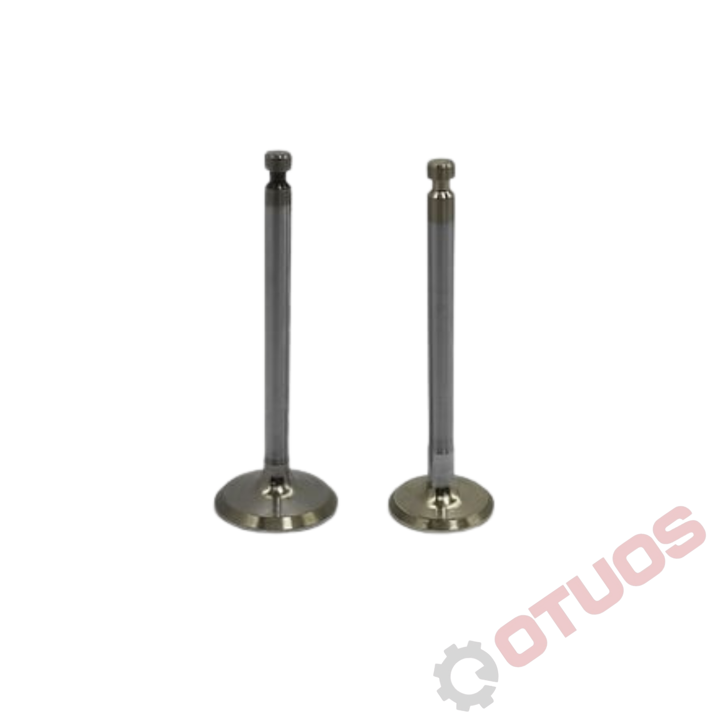 Jogo de Válvulas (Adm. + Escape) Yanmar — 3TNE78 / 3TNE82