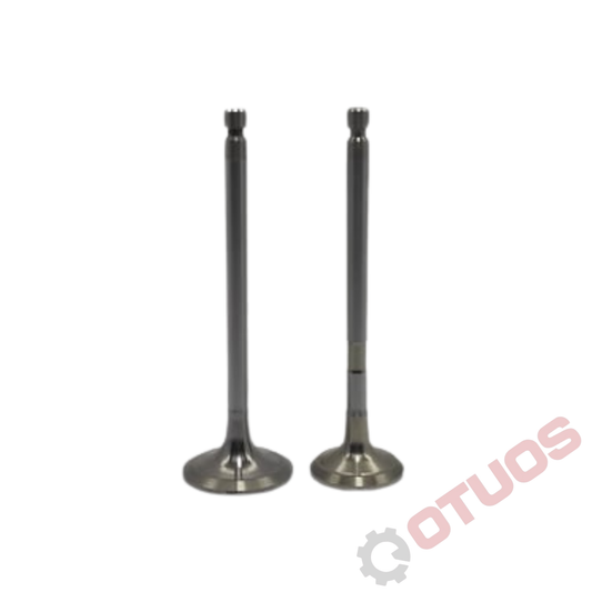 Jogo de Válvulas (Adm. + Escape) Yanmar — 4TNV106